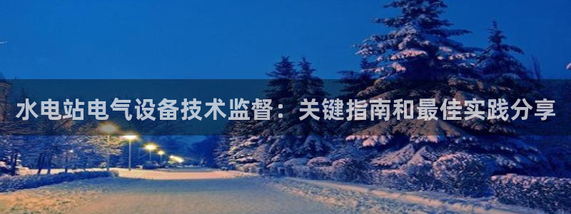 凯发k8旗舰店：水电站电气设备技术监督：关键指南和